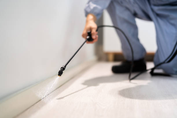 Licensed Pest Control service in Shorewood, IL - Show Me Pest Control