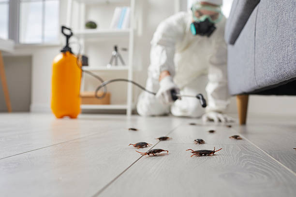 Commercial Rodent Management in Shorewood